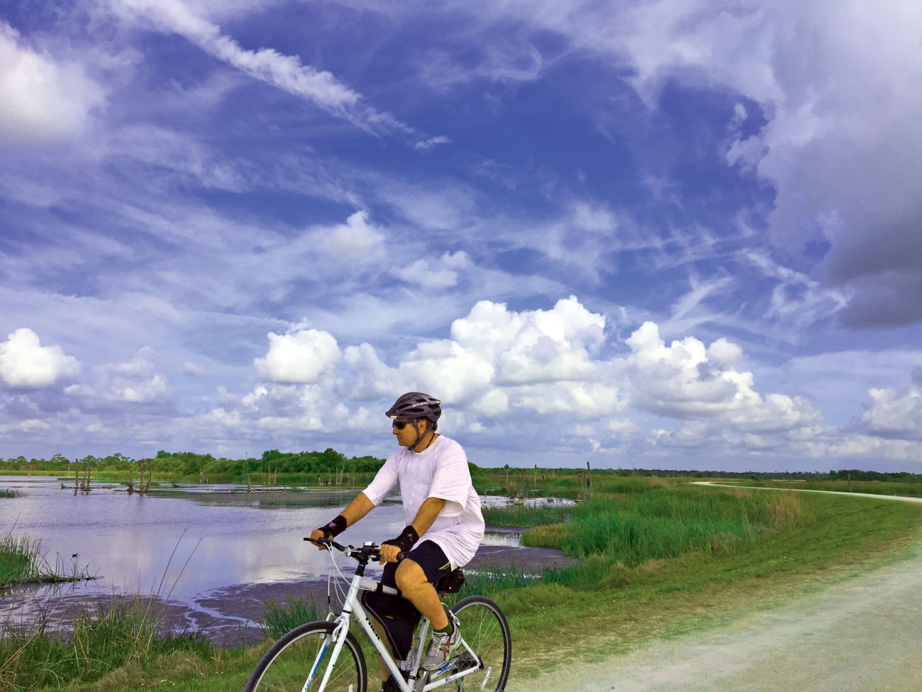 Cyclist riding a trail in the Viera Wetlands - Viera FL