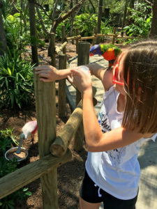 Girl feeding bird at Brevard Zoo in Viera