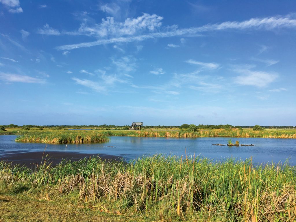 Viera Wetlands on a bright sunny day - Viera FL