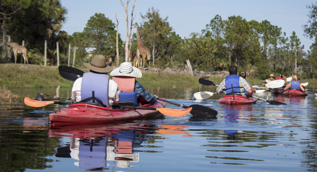 Kayaking at Brevard Zoo | Viera FL
