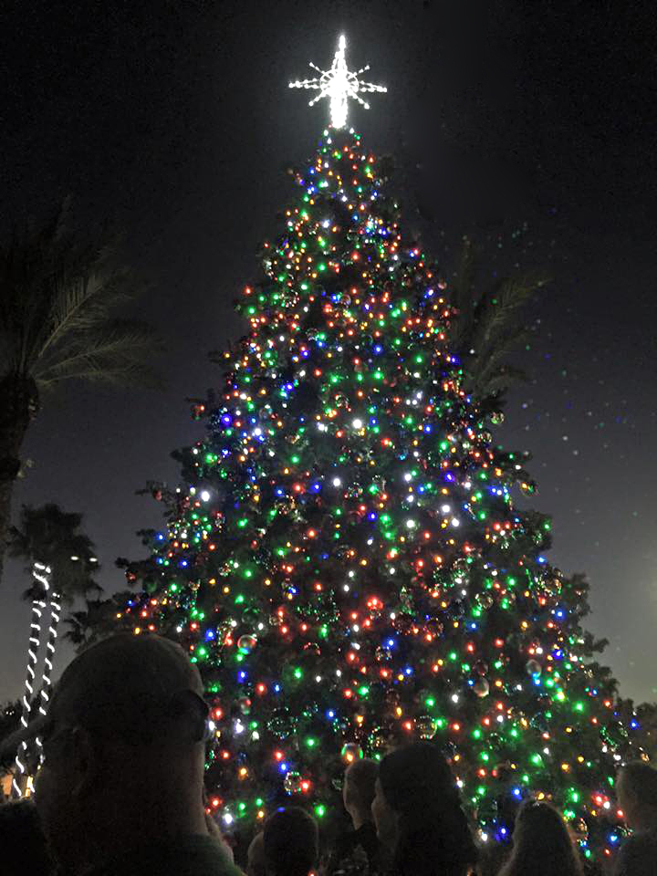 Christmas Tree Lighting The Avenue Viera Holiday Events Brevard FL