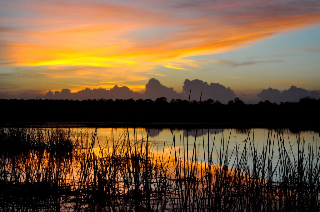 The Ritch Grissom Memorial Wetlands, commonly referred to as the Viera Wetlands, has officially reopened to the public.