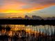 Viera Wetlands Reopened to the Public