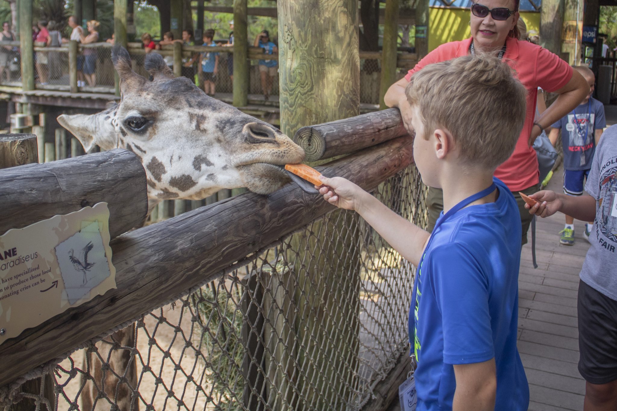 brevard zoo military discount