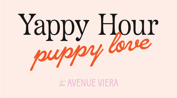 Yappy Hour Pupply Love at The Avenue