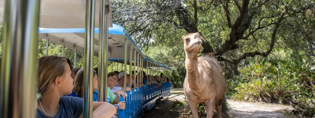 April 29, 2025 - Any day is a good day to visit the Brevard Zoo, one of the best zoos in the country and located right here in Viera on Florida's Space Coast.