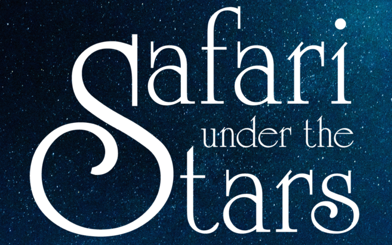 Safari Under the Stars