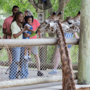 Brevard Zoo