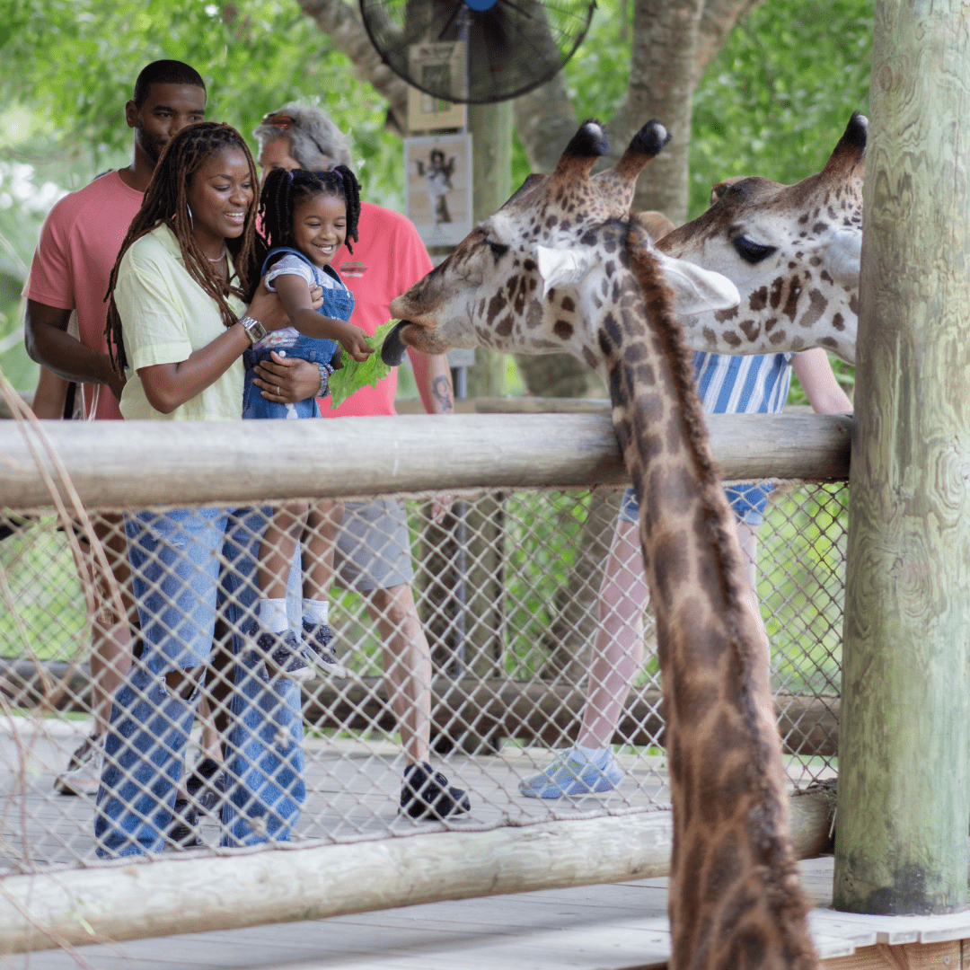 Brevard Zoo