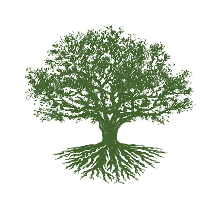 Viera Discovery Center