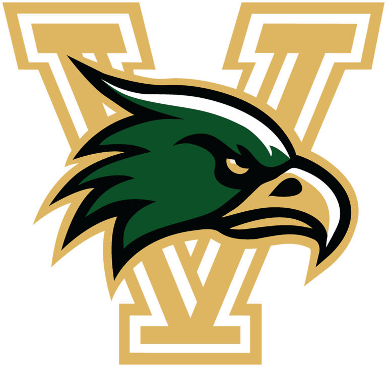 VHS logo